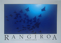 School of eagle raies